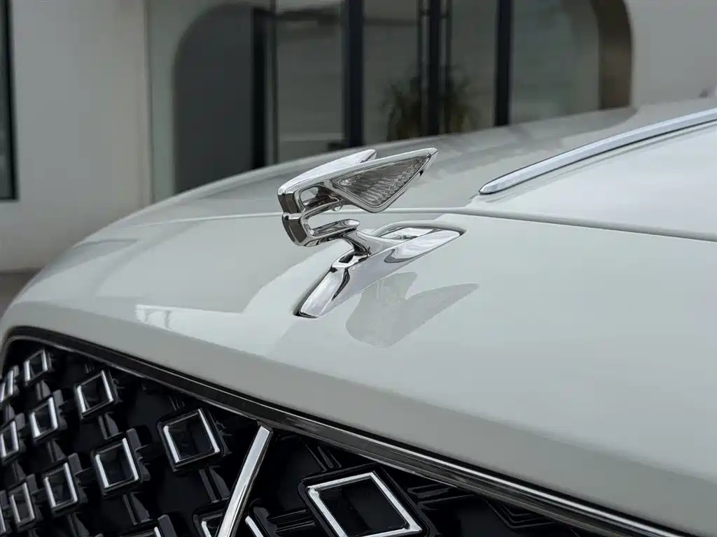 Bentley Flying Spur PHEV — фото 11