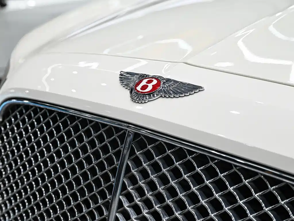 Bentley Flying Spur — фото 10