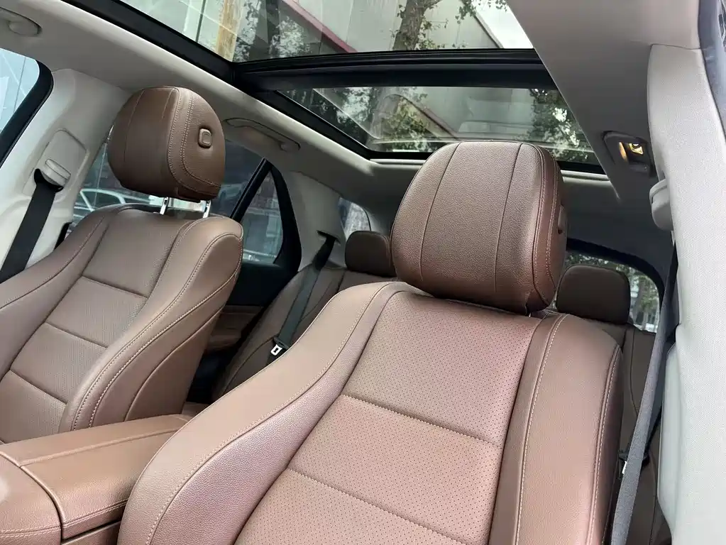 Mercedes-Benz GLE (Import) — фото 23