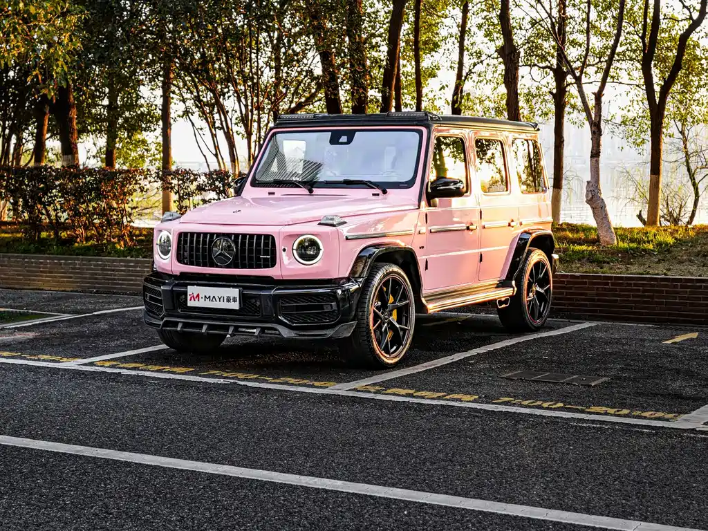 Mercedes-Benz G-Class — фото 6
