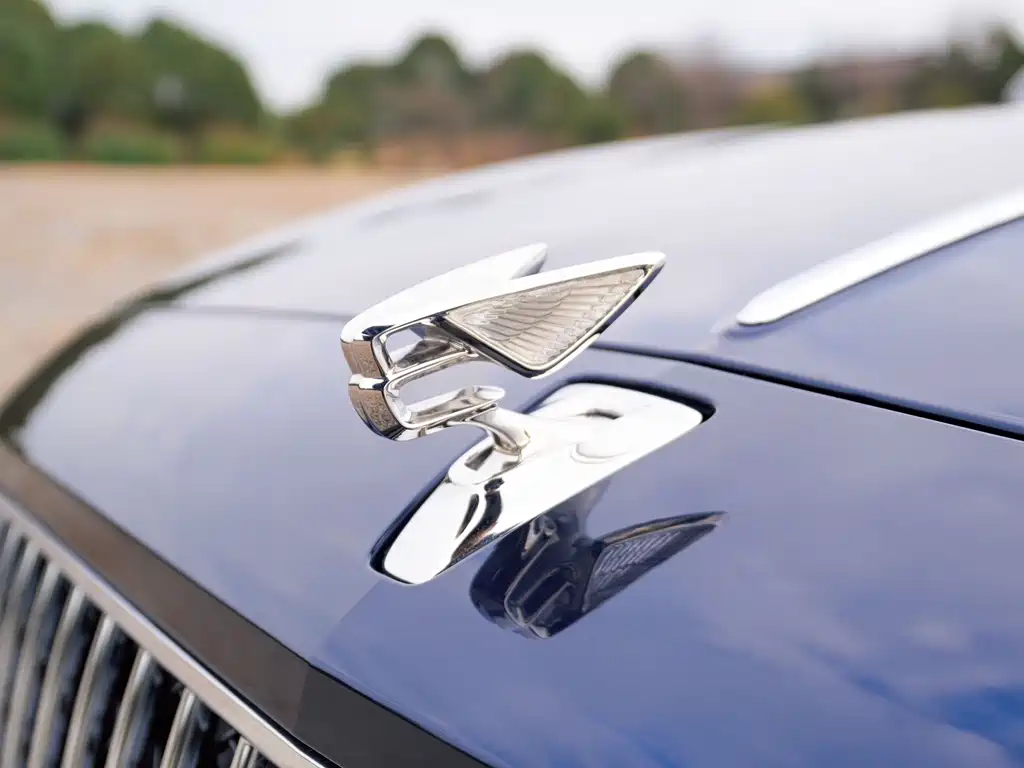 Bentley Flying Spur — фото 5