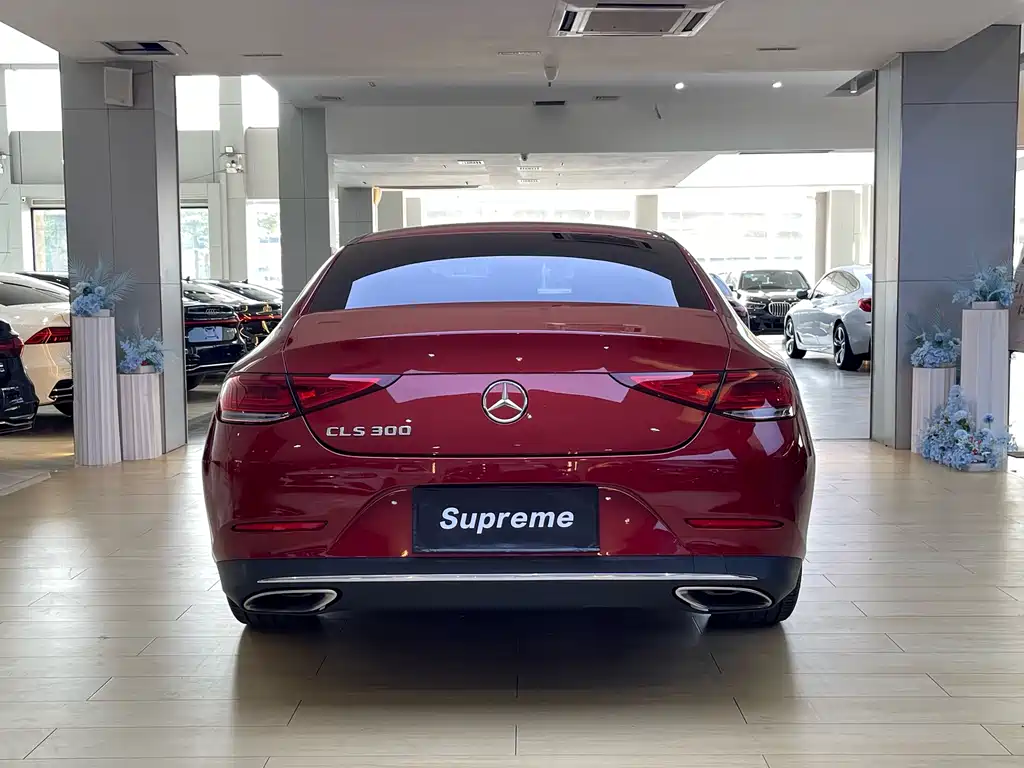 Mercedes-Benz CLS — фото 10