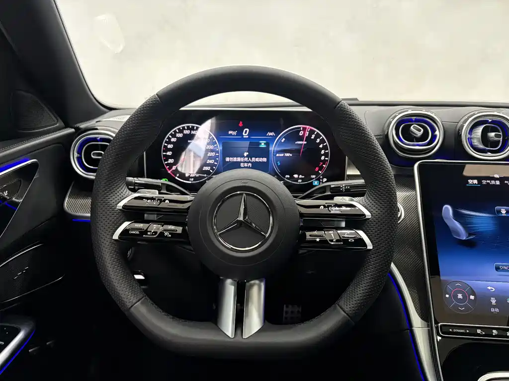 Mercedes-Benz C-Class New Energy — фото 15