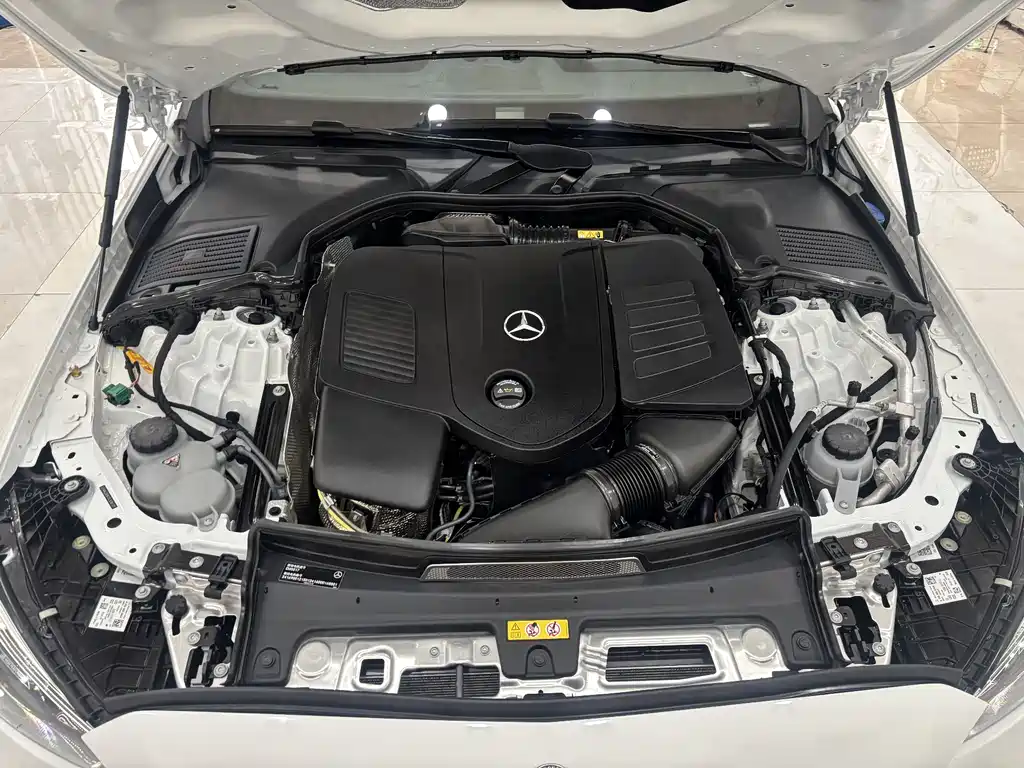 Mercedes-Benz C-Class New Energy — фото 29