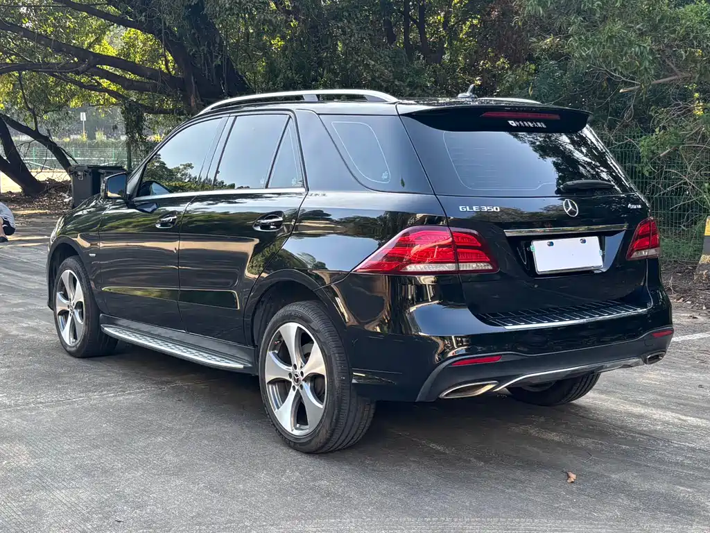 Mercedes-Benz GLE (Import) — фото 8