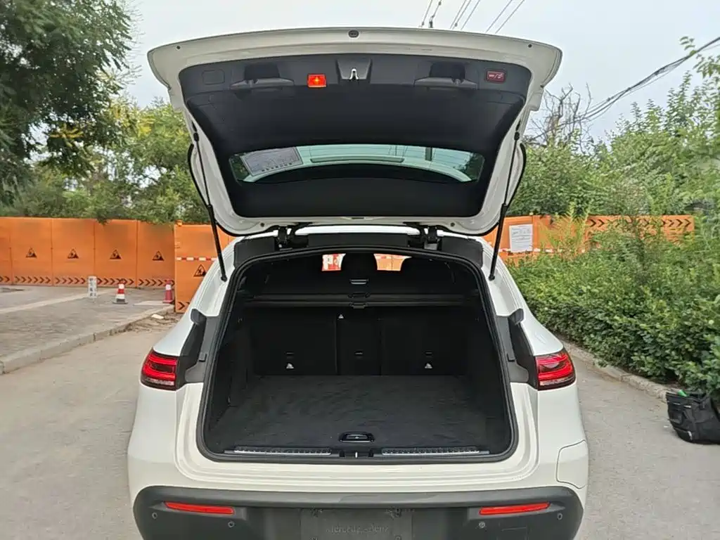 Mercedes-Benz EQC — фото 19