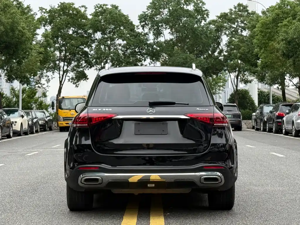 Mercedes-Benz GLE (Import) — фото 6