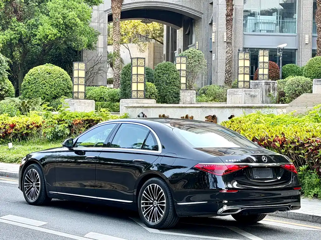 Mercedes-Benz S-Class New Energy — фото 4