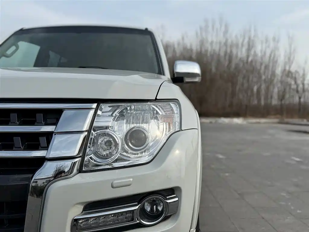 Mitsubishi Pajero (Import) — фото 15