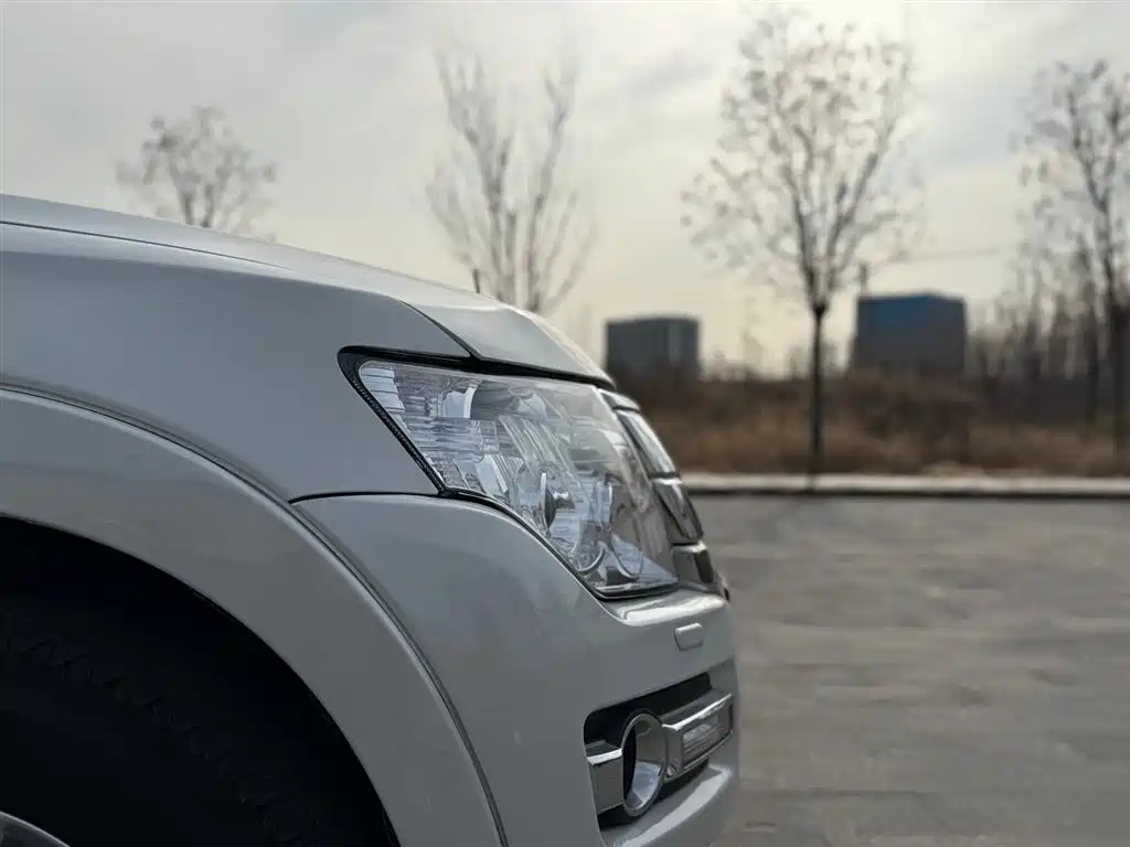 Mitsubishi Pajero (Import) — фото 17