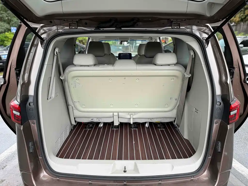 Buick GL8 — фото 15
