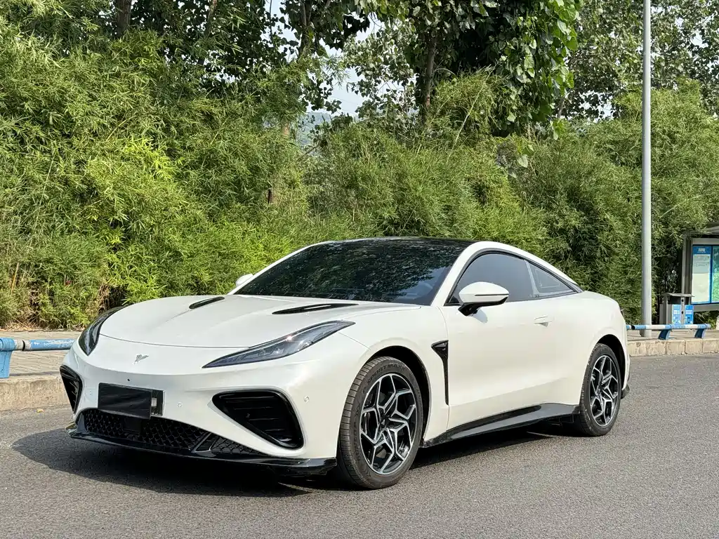 Neta Neta GT