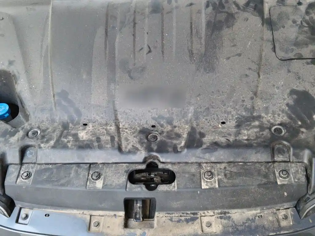 Neta Neta V — фото 11