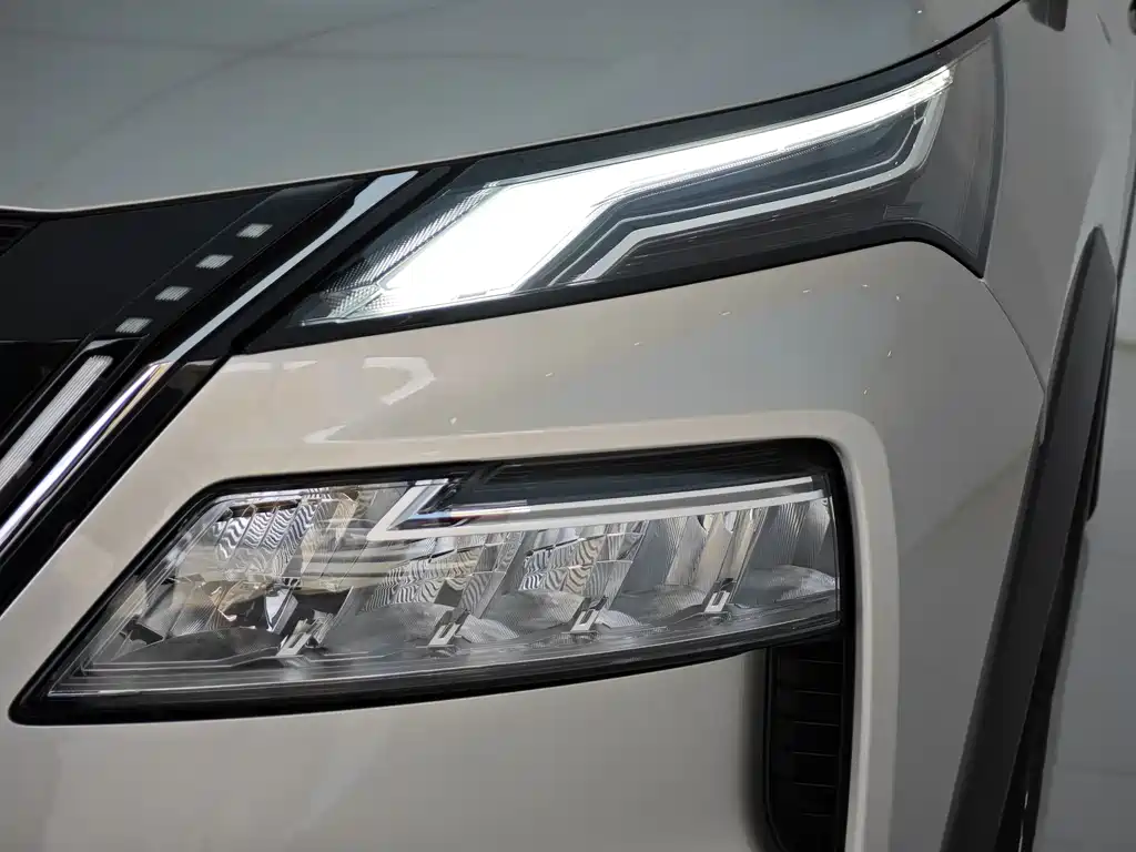 Nissan X-Trail — фото 31