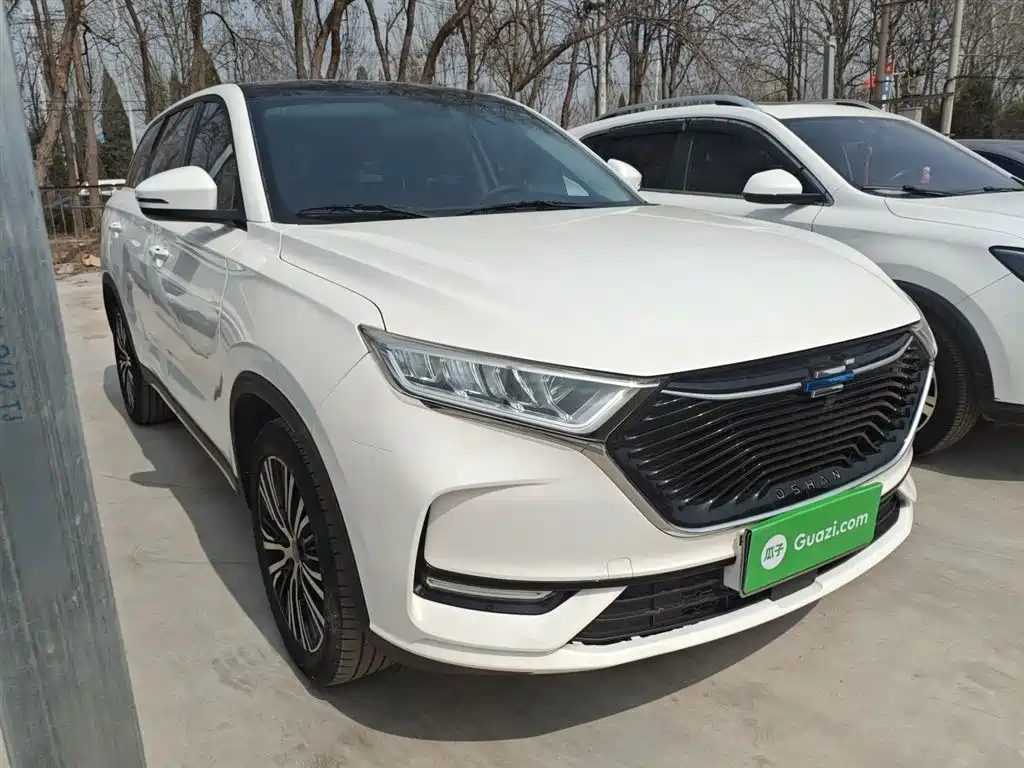 Oshan Oushang X7 — фото 22