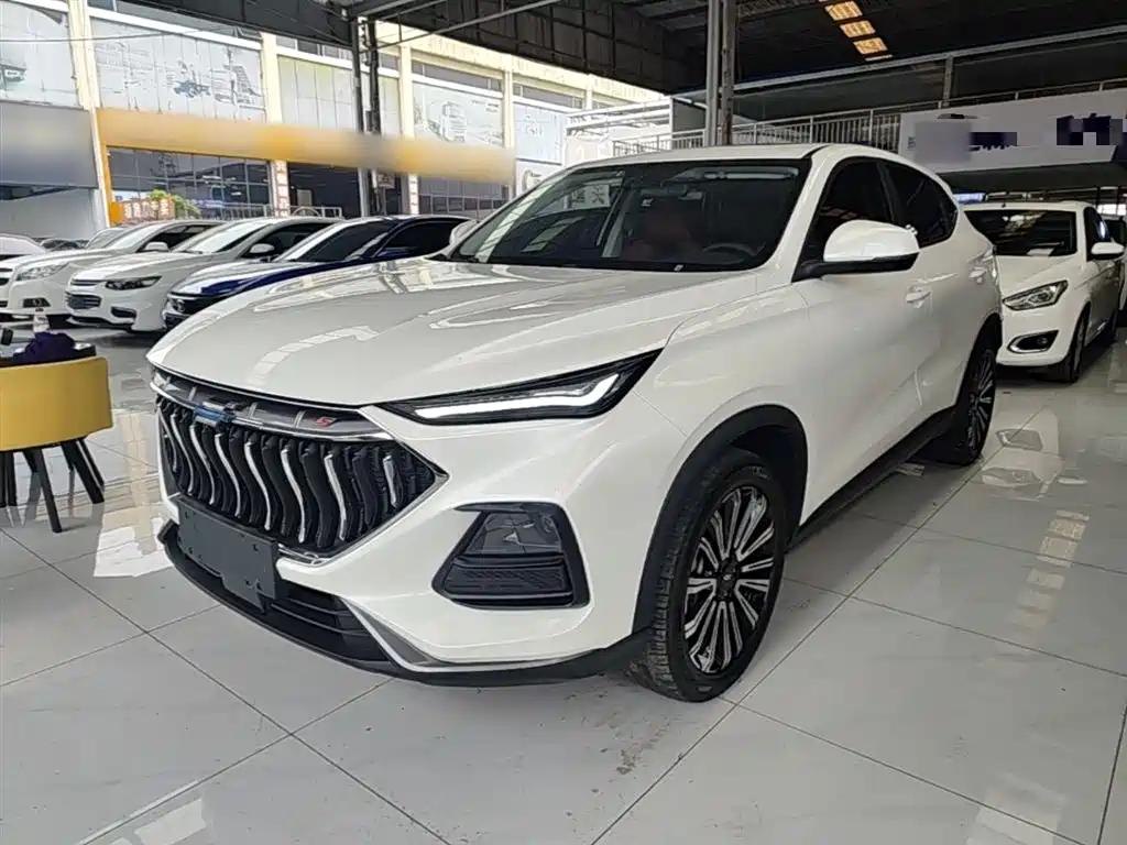 Oshan Oushang X5 — фото 2