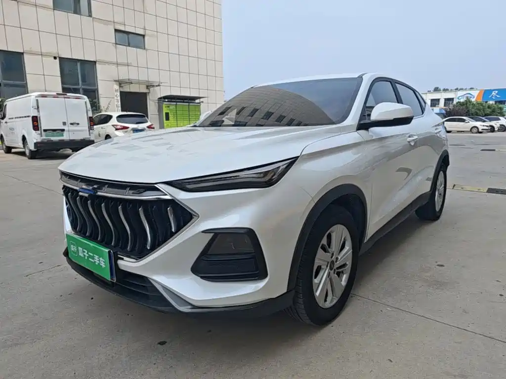 Oshan Oushang X5 — фото 2