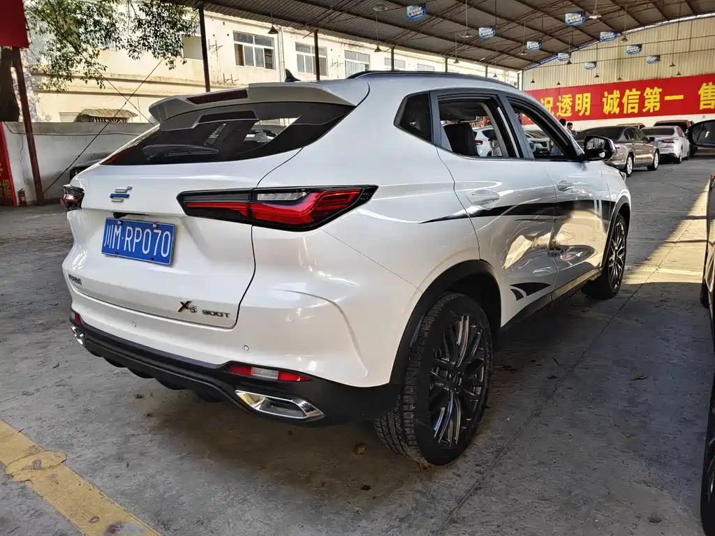 Oshan Oushang X5 — фото 8