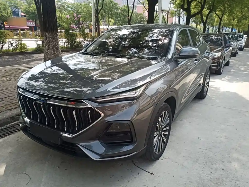 Oshan Oushang X5 — фото 2