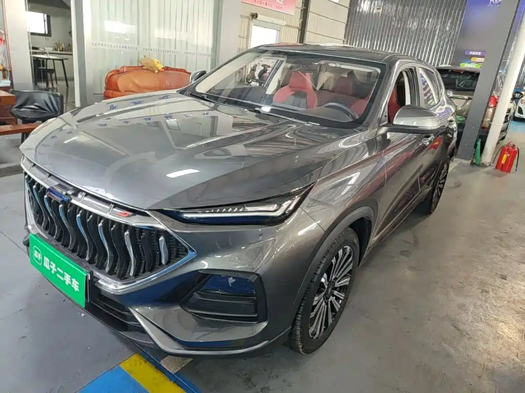 Oshan Oushang X5 — фото 2