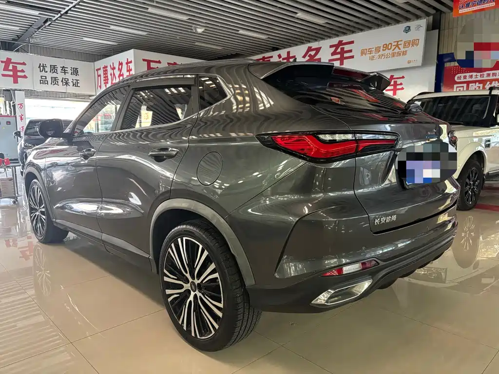 Oshan Oushang X5 — фото 3