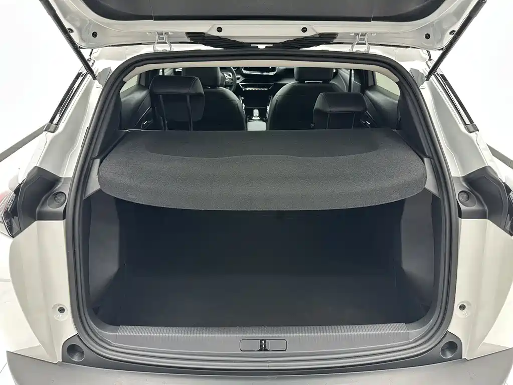 Peugeot 2008 — фото 17