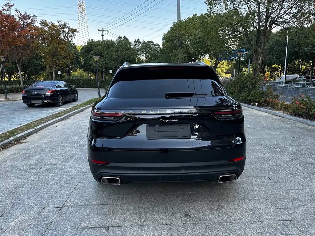 Porsche Cayenne — фото 10