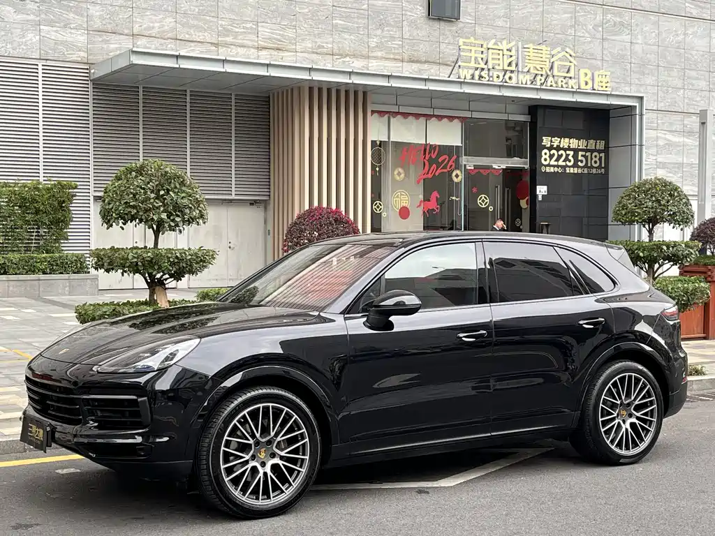Porsche Cayenne — фото 7