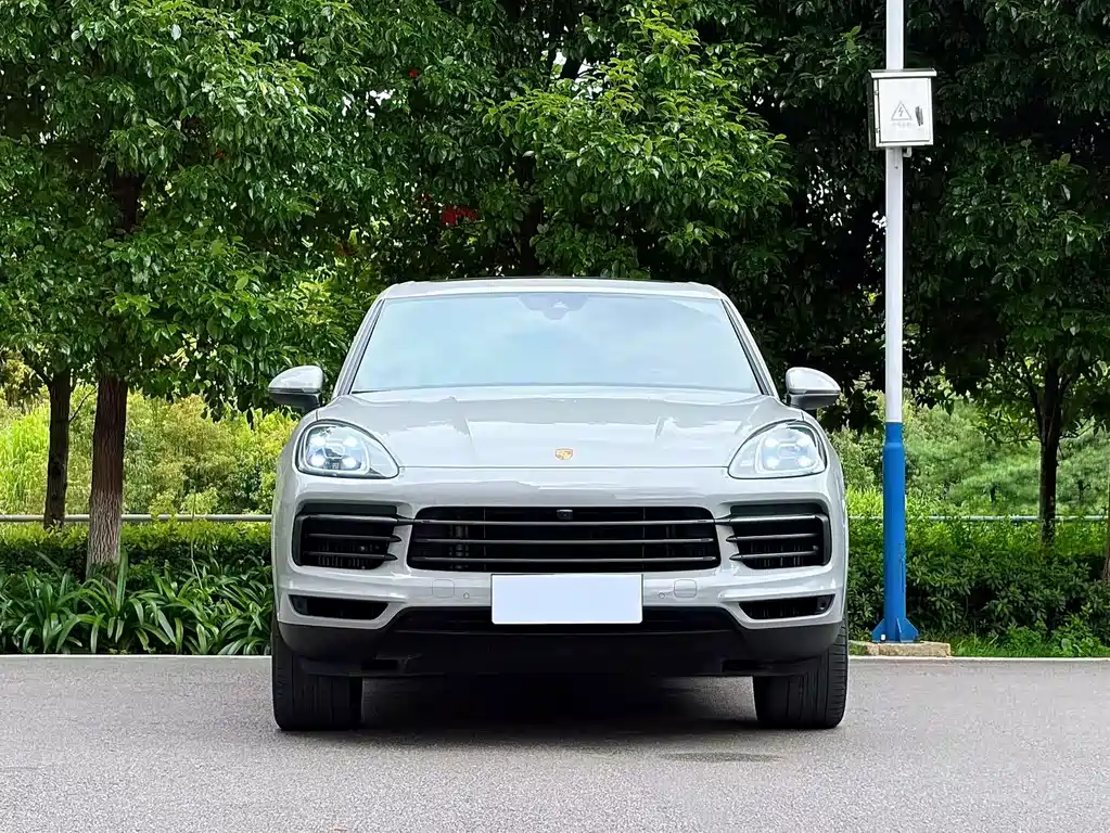 Porsche Cayenne — фото 3