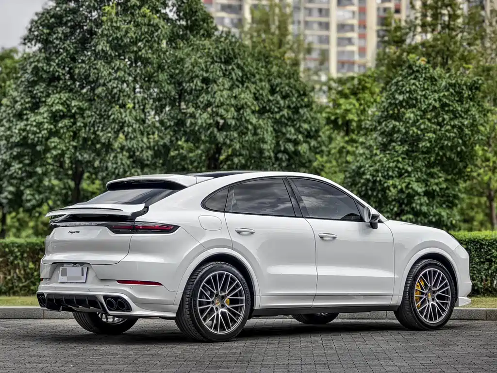Porsche Cayenne — фото 7