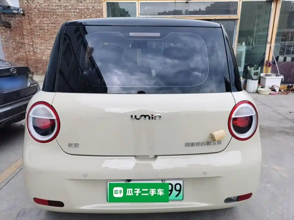Qiyuan Lumin — фото 6