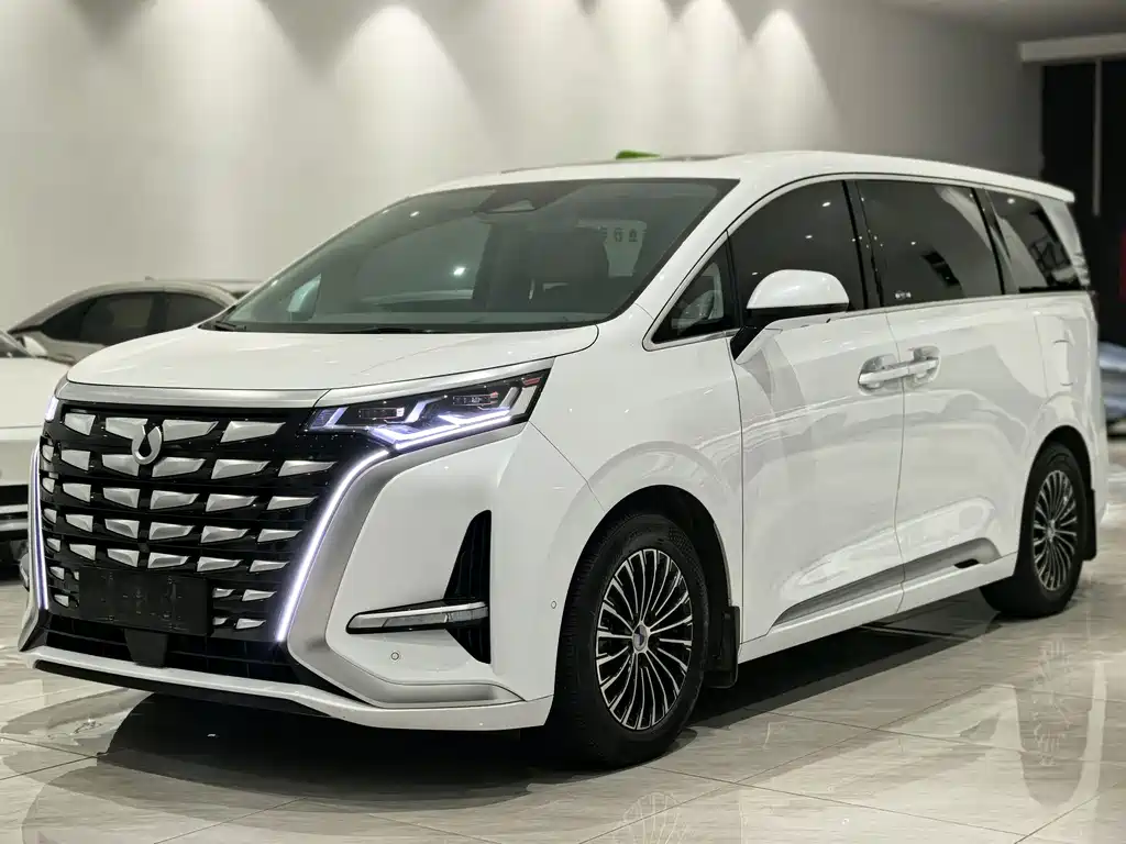 Denza Denza D9