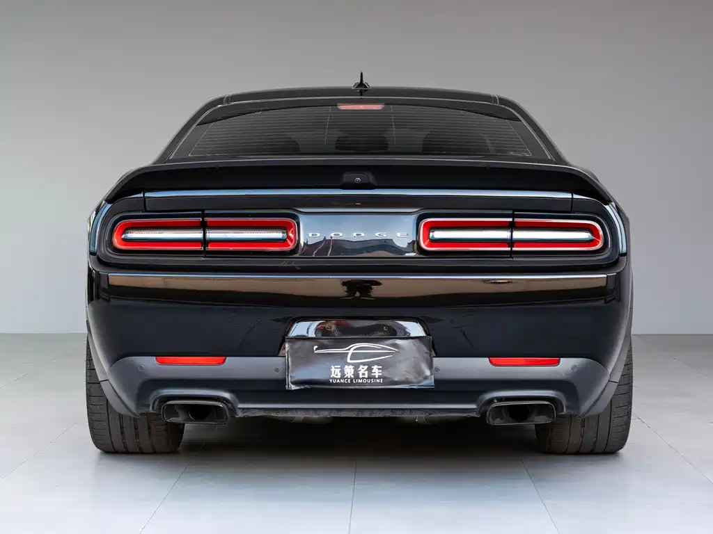 Dodge  — фото 15