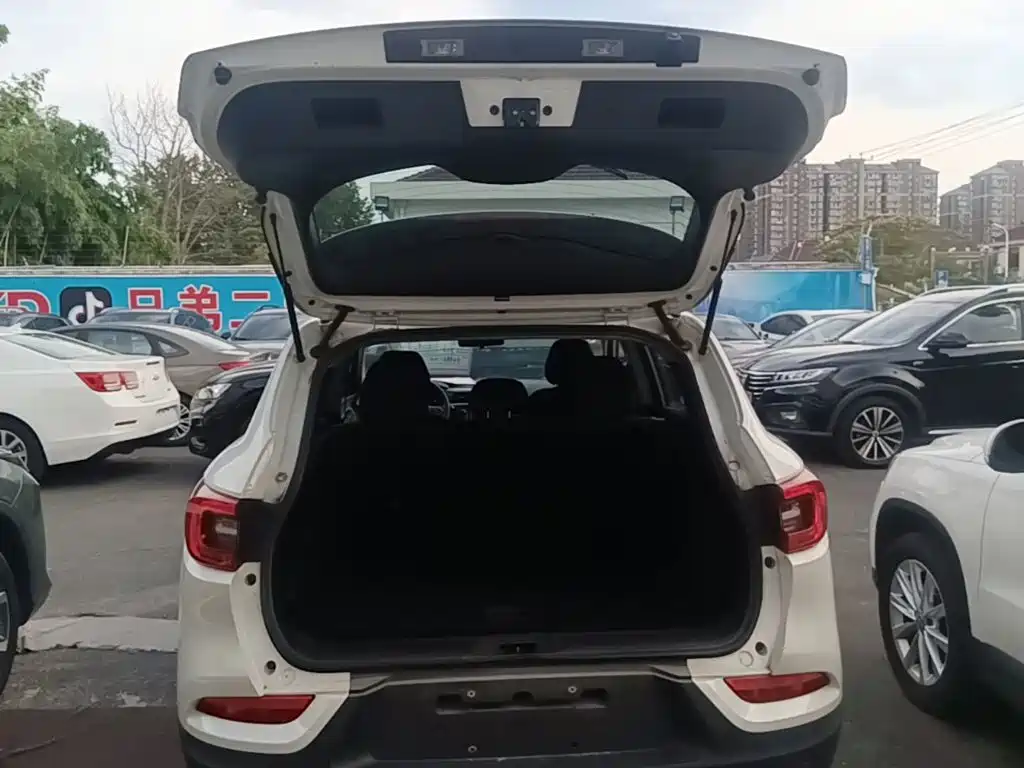 Renault Kadjar — фото 19