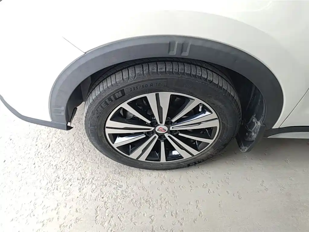 Roewe RX5 New Energy — фото 23