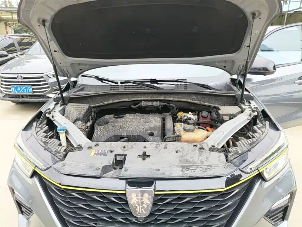 Roewe RX5 New Energy — фото 20