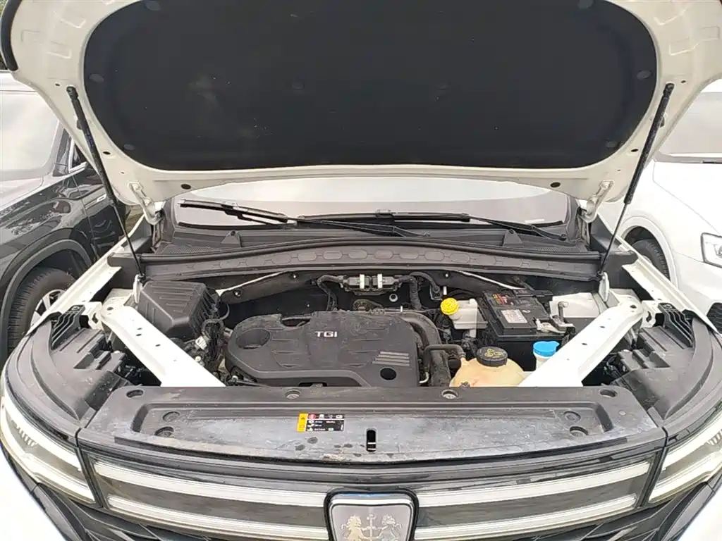 Roewe RX5 MAX — фото 19