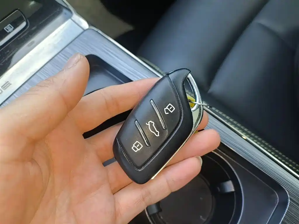 Roewe RX5 New Energy — фото 9