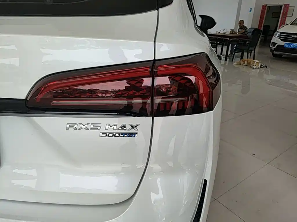 Roewe RX5 MAX — фото 24