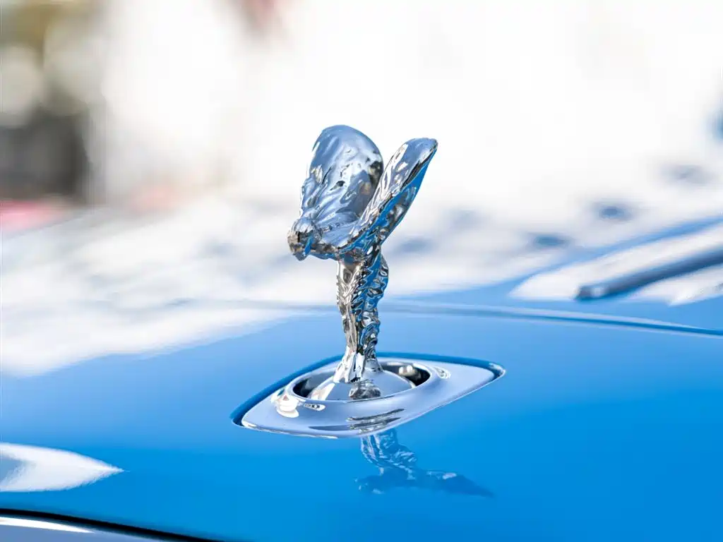 Rolls-Royce Dawn — фото 9