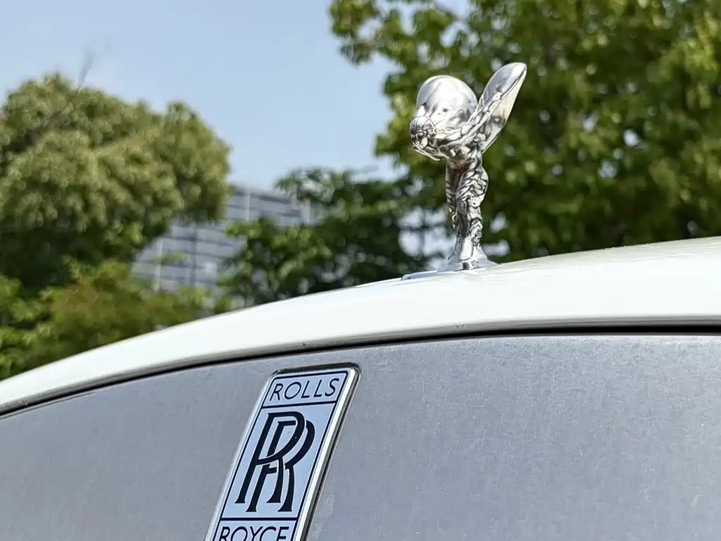 Rolls-Royce Dawn — фото 22