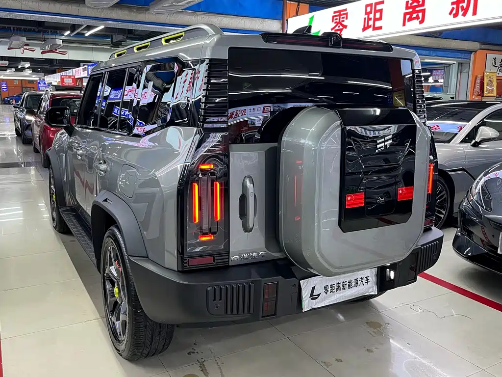 Shanhai Traveller C-DM — фото 4
