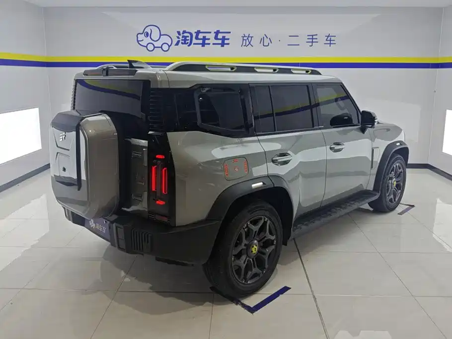 Shanhai Traveller C-DM — фото 3