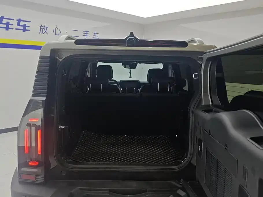 Shanhai Traveller C-DM — фото 4