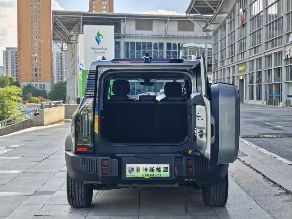 Shanhai Traveller C-DM — фото 9