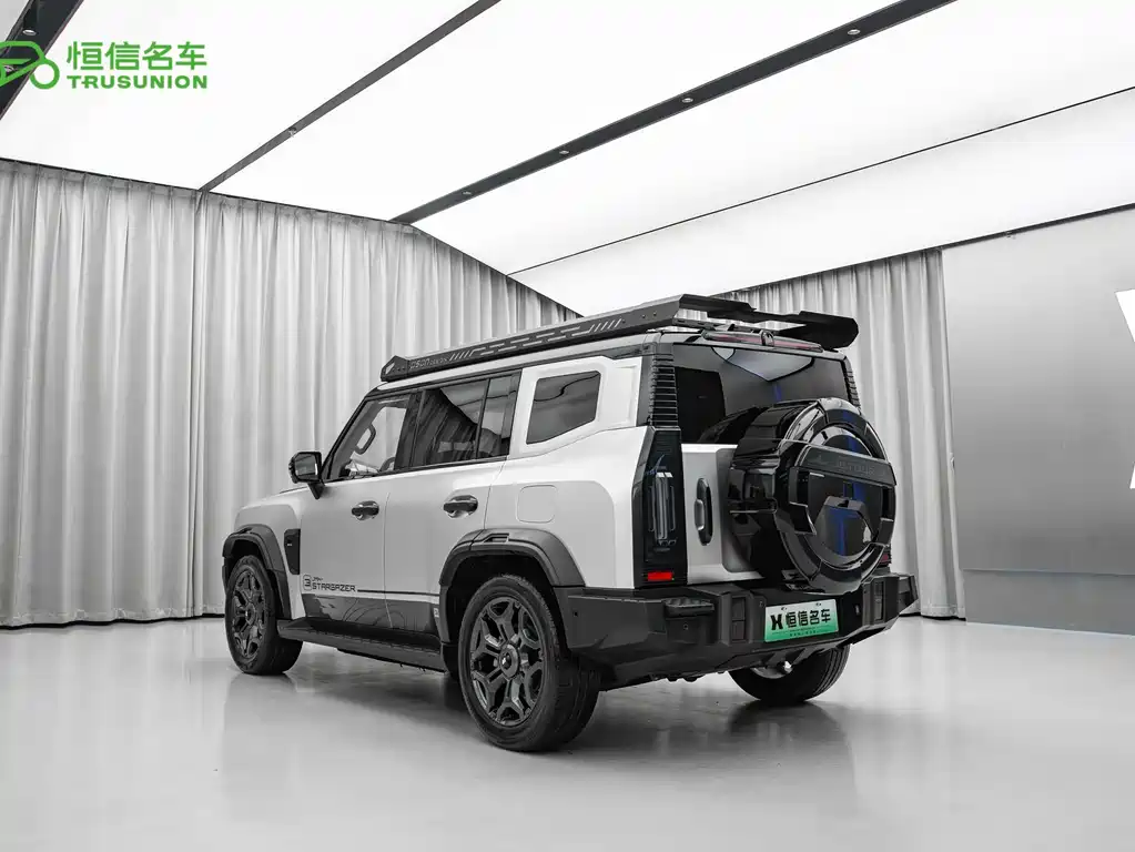 Shanhai Traveller C-DM — фото 4