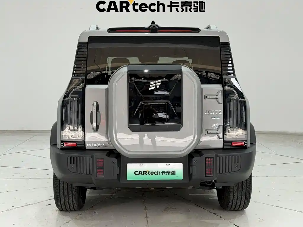 Shanhai Traveller C-DM — фото 6