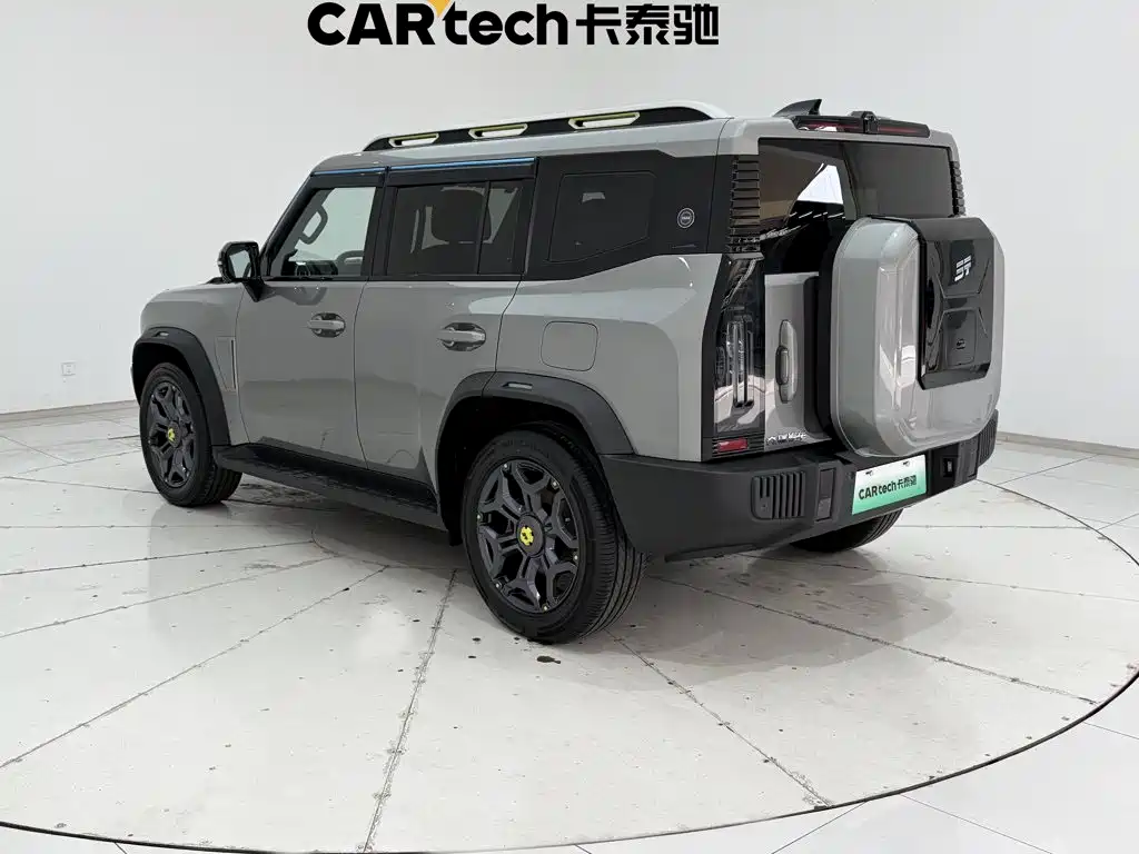 Shanhai Traveller C-DM — фото 7