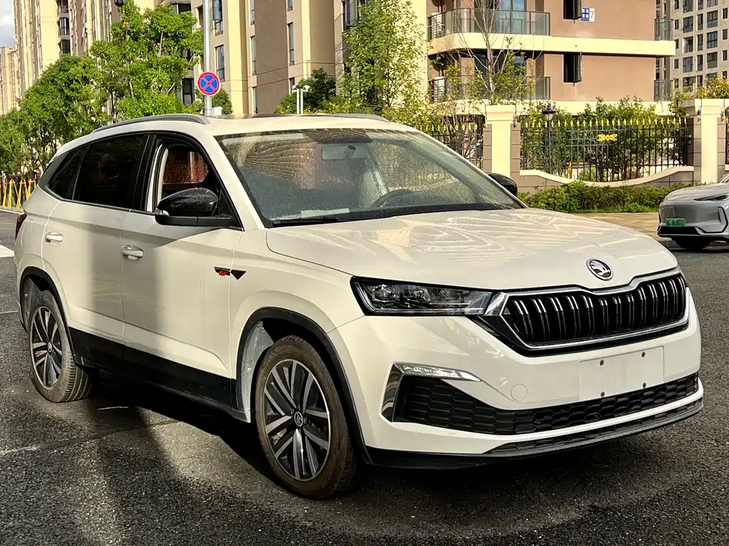 Skoda Kamiq — фото 3