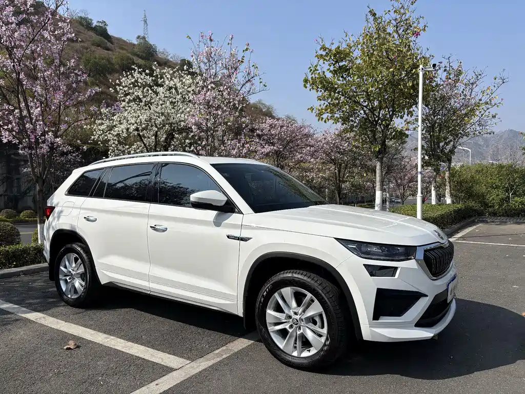 Skoda Kodiaq — фото 3
